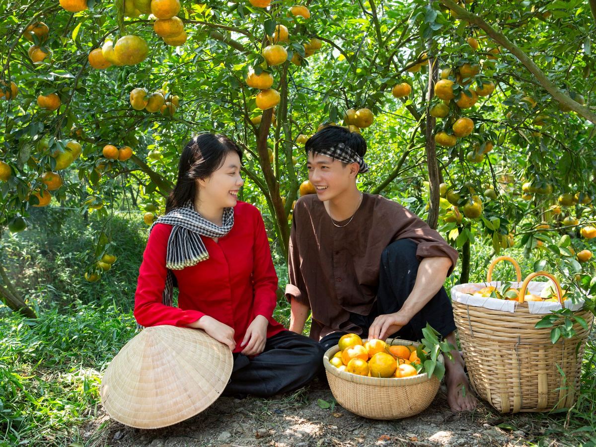 people picking fruit farm